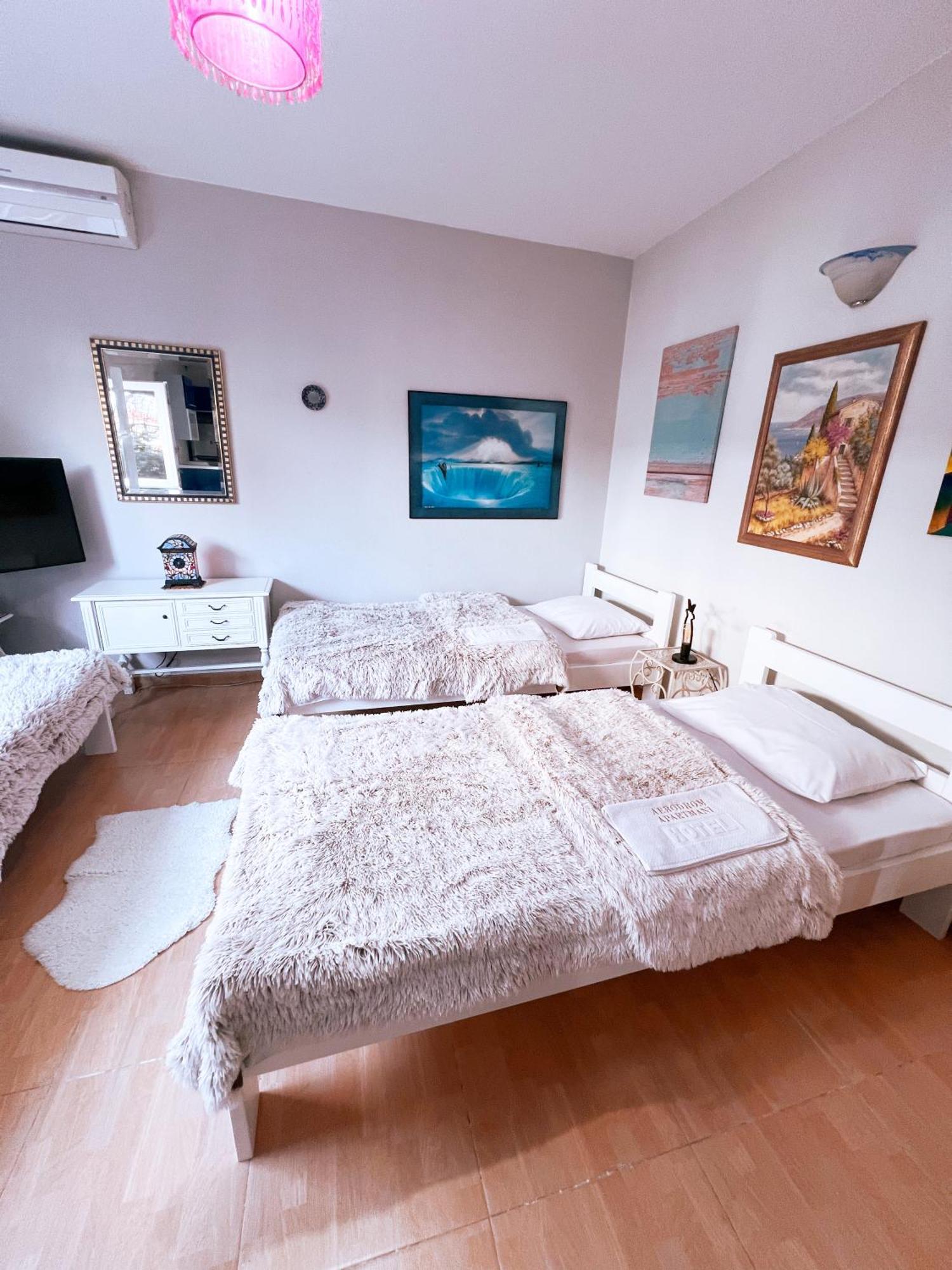 Apartments Aerodrom Podgorica Værelse billede